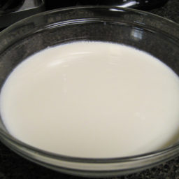 Raw Yogurt